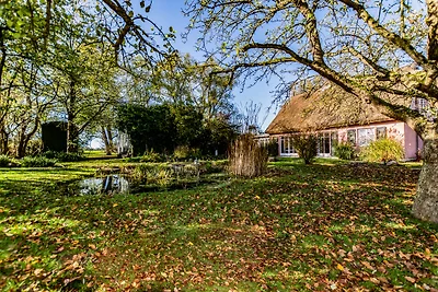 Hof Garz Wohnung Kräutergarten