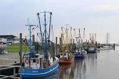 Ferienhaus Vogel Nordsee
