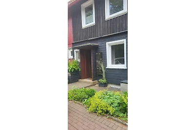 Blick über Hohegeiss