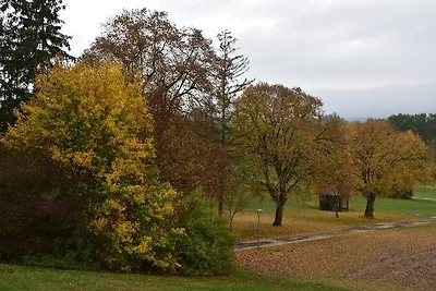 Ferienwohnung Nofretete 9/23