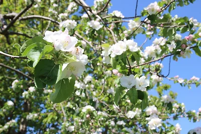 Ferienwohnung Hochwaldblick