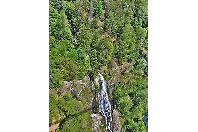 Berghof Almzeit - Fewo