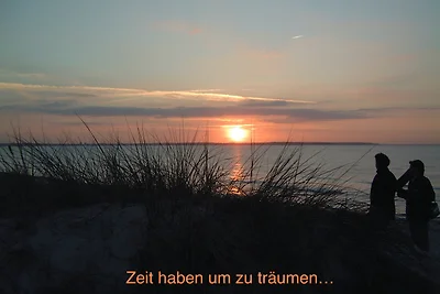 Whg. Bachstelze - Haus Nordlichter