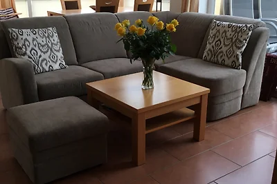 Meerblick 11 - Seemöwe