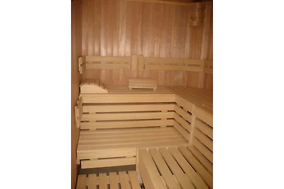 Feldbergblick App. 21