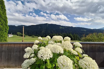 Holiday flat family holiday Hittisau