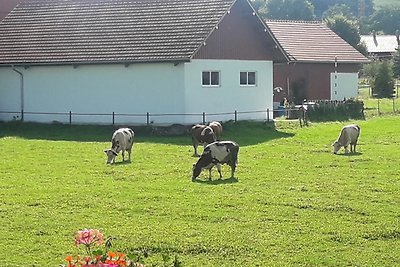 Gästehaus Reisacher - Einzelzimmer