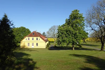 Gut Rattelvitz Galerie D