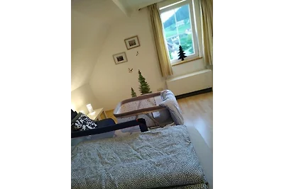 Appartamento Vacanza con famiglia Baiersbronn