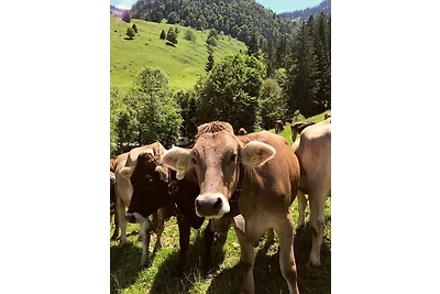 Appartamento Vacanza con famiglia Oberstaufen