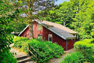 Komfort-Ferienhaus - Extertal