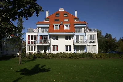 Küstenzauber 14 - Muschelsucher