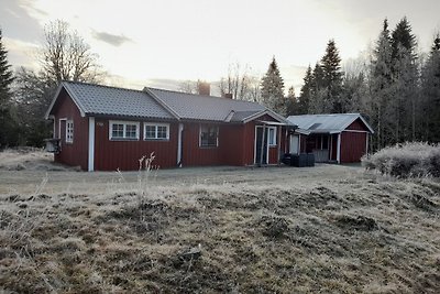 Vakantiehuis Ontspannende vakantie Torsby