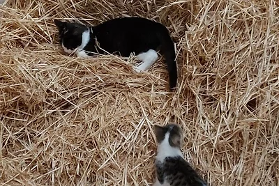 Appartamento Vacanza con famiglia Ihlow