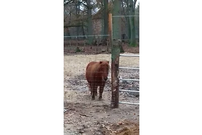Mühlenhof Soderstorf Wohnung E