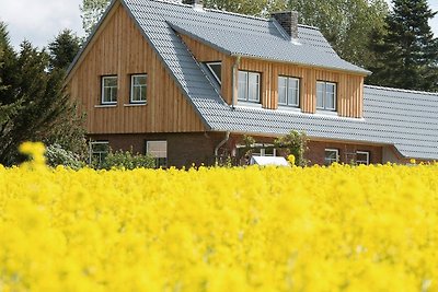 Vakantiehuis Ontspannende vakantie Rieseby