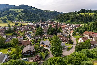 Appartamento Vacanza con famiglia Schönau im Schwarzwald