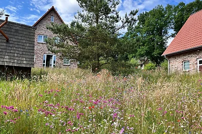 Bispinger Heidezauber - Haus