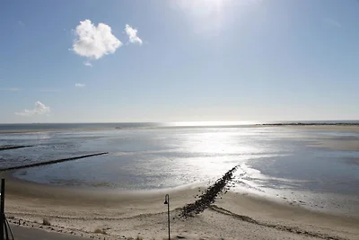 Kapitänsblick 15/18