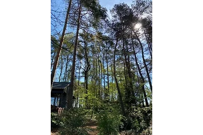 Casa vacanze Vacanza di relax Wittingen
