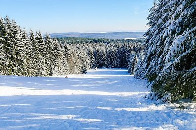 Vakantieappartement Gezinsvakantie Prüm