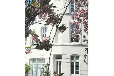 Altstadtsonne 1 - ABC33 - nur