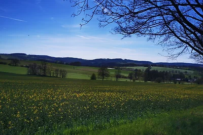 Vakantieappartement Gezinsvakantie Grünhainichen