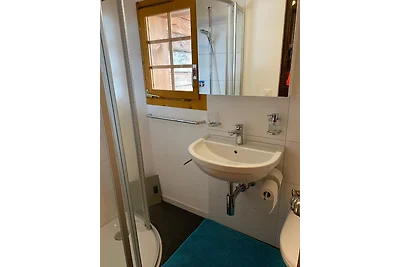 Heimelige Wohnung in einem Walliser