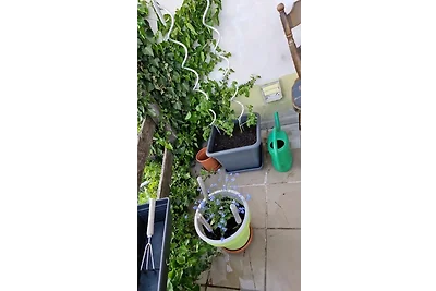 RELAX PUR in der NATUR I & II