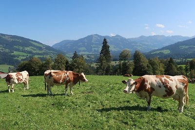 Ferienwohnung zur Kundler Klamm by