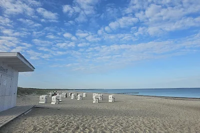 Käpt´n Brass App. 2 "Leinenlos im