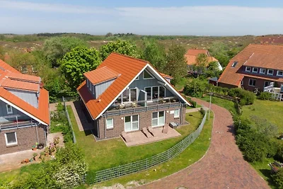 Heringsmöwe, Haus an den