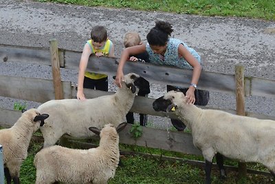 Appartamento Vacanza con famiglia St. Georgen