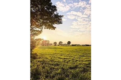 Traumkrone Ferienwohnungen -
