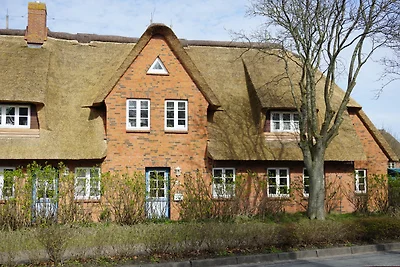 Vakantieappartement Gezinsvakantie Alkersum