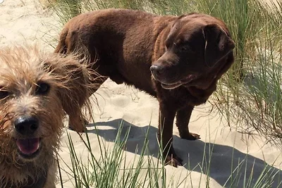 NORDSEE GLAMPING