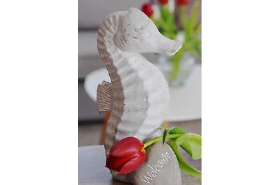 Appartement Vacances avec la famille Dahme