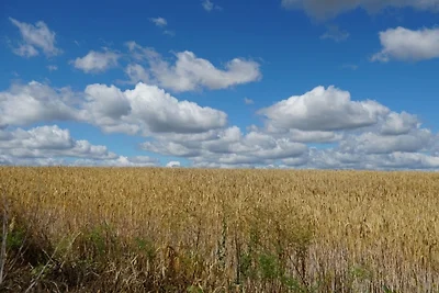 Pension Limone Ferienwohnung 2