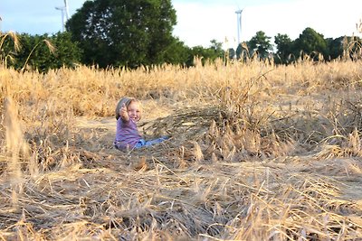 Vakantiehuis Ontspannende vakantie Kabelhorst