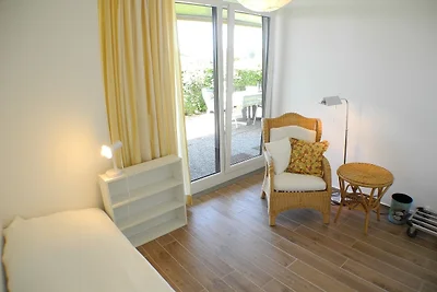 Uferschwalbe - Hohwacht