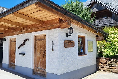 Stodertraum 3 "Löwenzahn" by