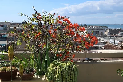 Casa Bella Perla Marina Appartement