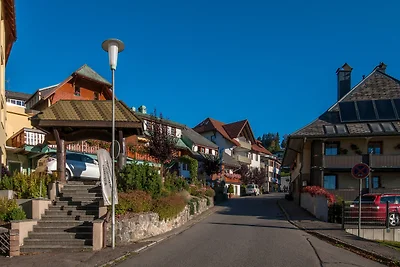 Vakantieappartement Gezinsvakantie Todtnau