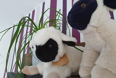 Casa vacanze Vacanza di relax Ehrenberg