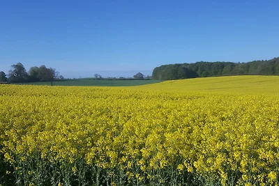Appartamento Vacanza con famiglia Steinfeld