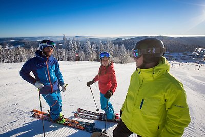 Appartamento Vacanza con famiglia Feldberg