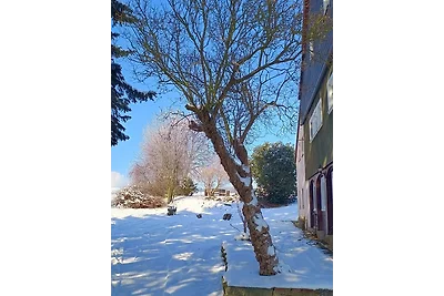 Ferienwohnung Koitscheblick