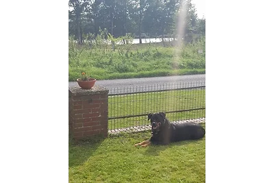 Ferienhaus am Nordostseekanal