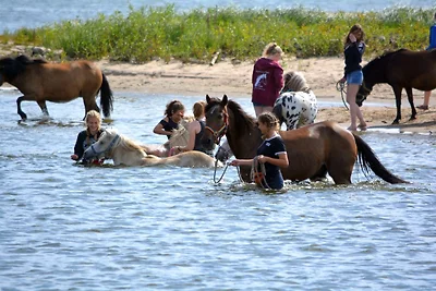Pony-Ranch-Hütte