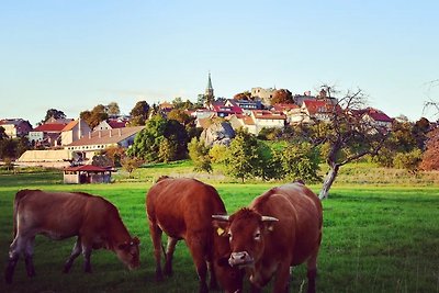 Vakantieappartement Gezinsvakantie Maroldsweisach